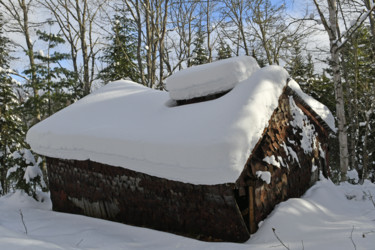 Cabanes à sucre