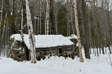 Cabanes à sucre