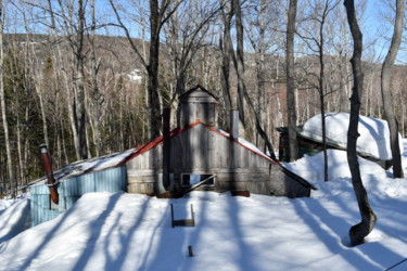 Cabanes à sucre
