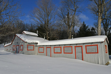 Cabanes à sucre