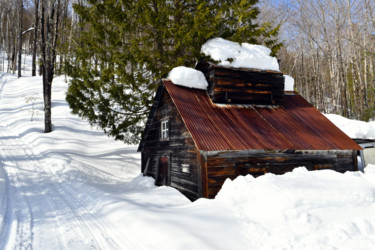 Cabanes à sucre