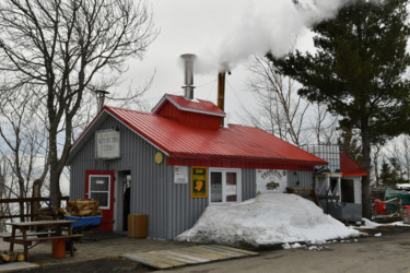 Cabanes à sucre