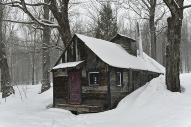 Cabanes à sucre