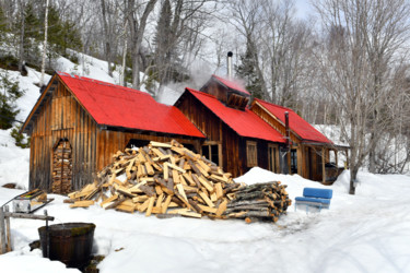 Cabanes à sucre