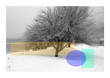 Paysage