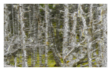 Covid19, Deuxième vague 3