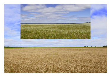 Paysage sans limite