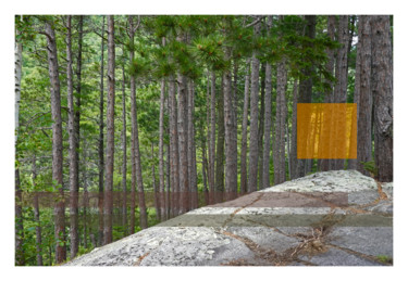 Pinède, Petite-Rivière-Saint-François, Charlevoix, Québec.