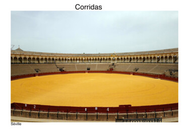 Corridas