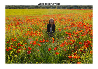 Quel beau voyage